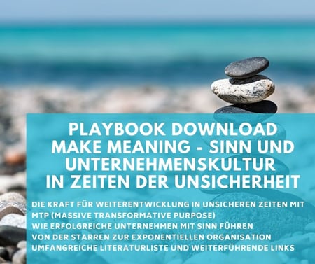 Download Playbook Sinn im Unternehmen
